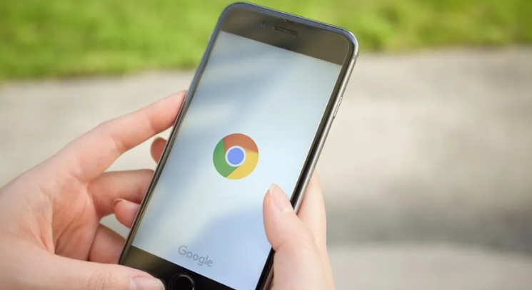 Chrome浏览器如何开启或关闭自动更新功能1