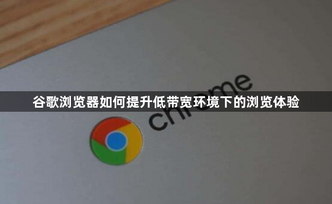 谷歌浏览器如何提升低带宽环境下的浏览体验1