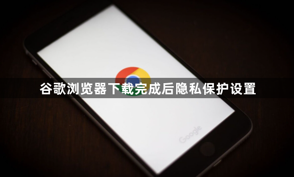 谷歌浏览器下载完成后隐私保护设置1