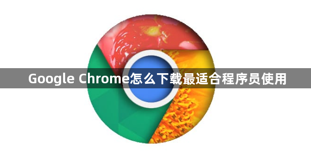 Google Chrome怎么下载最适合程序员使用1