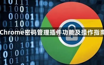 Chrome密码管理插件功能及操作指南1