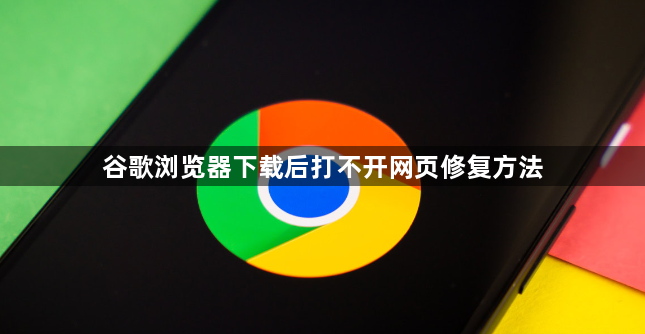 谷歌浏览器下载后打不开网页修复方法1
