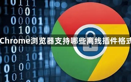Chrome浏览器支持哪些离线插件格式1