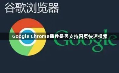 Google Chrome插件是否支持网页快速搜索1