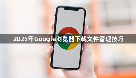 2025年Google浏览器下载文件管理技巧1