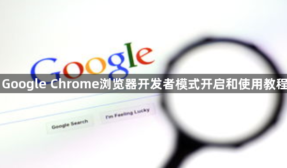Google Chrome浏览器开发者模式开启和使用教程1