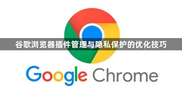 谷歌浏览器插件管理与隐私保护的优化技巧1