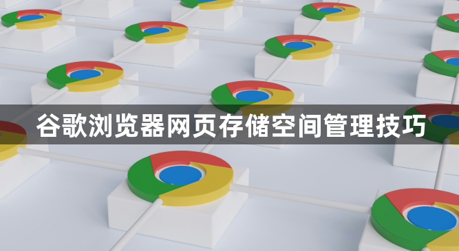 谷歌浏览器网页存储空间管理技巧1