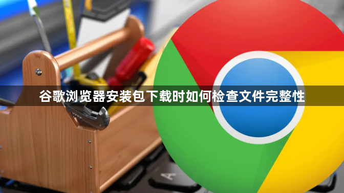 谷歌浏览器安装包下载时如何检查文件完整性1