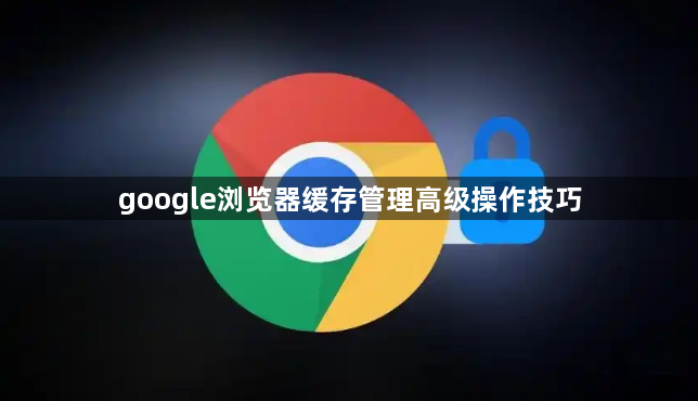 google浏览器缓存管理高级操作技巧1
