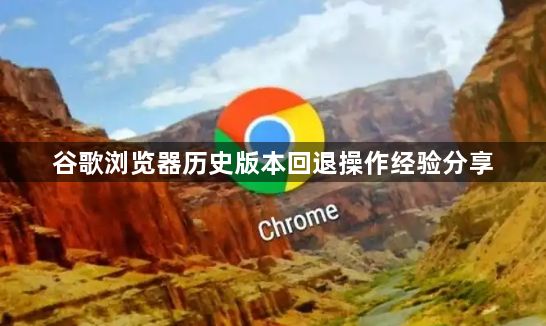 谷歌浏览器历史版本回退操作经验分享1