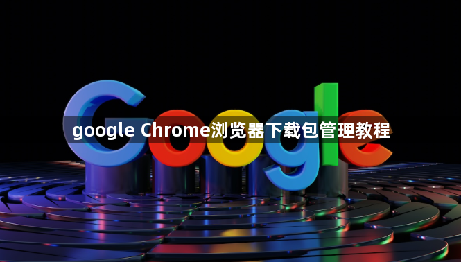 google Chrome浏览器下载包管理教程1