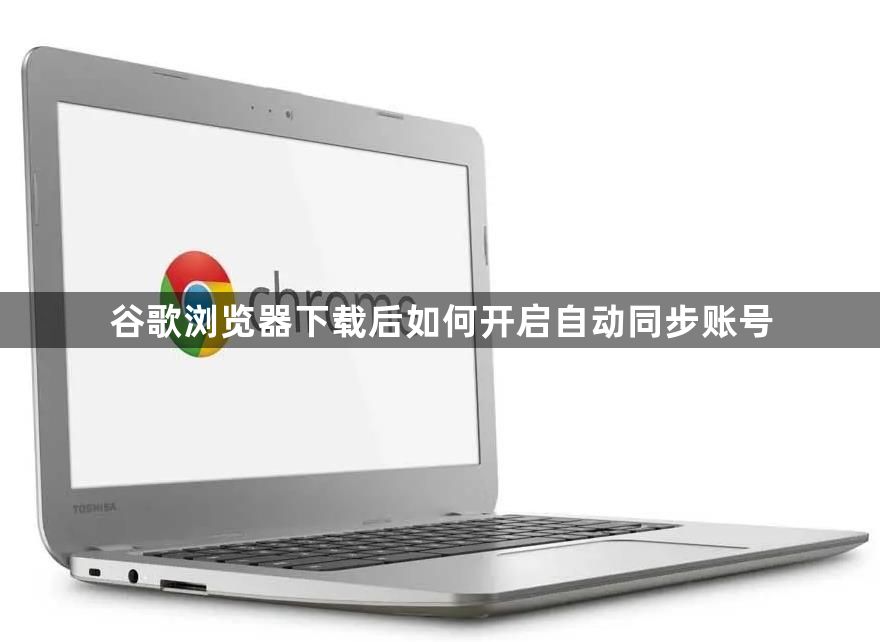 谷歌浏览器下载后如何开启自动同步账号1
