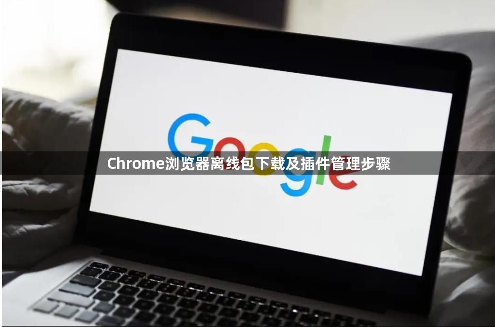 Chrome浏览器离线包下载及插件管理步骤1