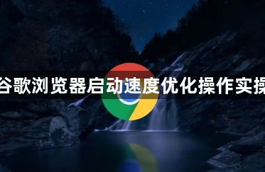 谷歌浏览器启动速度优化操作实操1