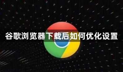 谷歌浏览器下载后如何优化设置1