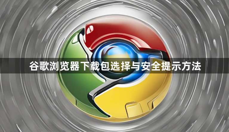 谷歌浏览器下载包选择与安全提示方法1