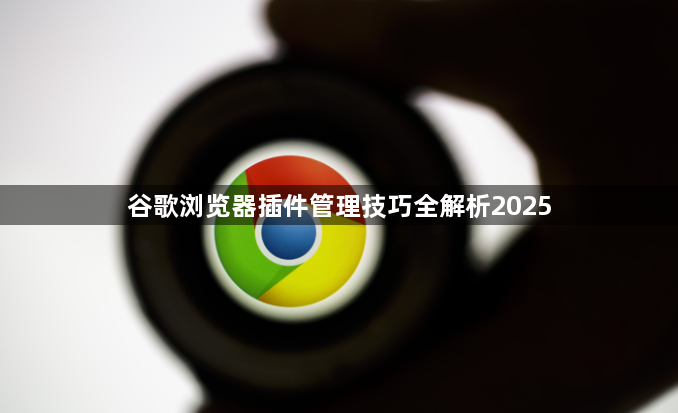 谷歌浏览器插件管理技巧全解析20251