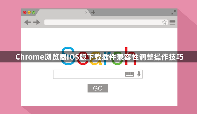 Chrome浏览器iOS版下载插件兼容性调整操作技巧1