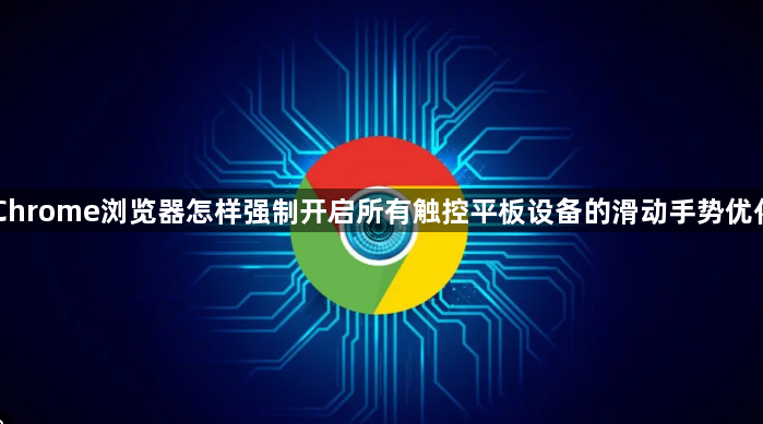 Chrome浏览器怎样强制开启所有触控平板设备的滑动手势优化1
